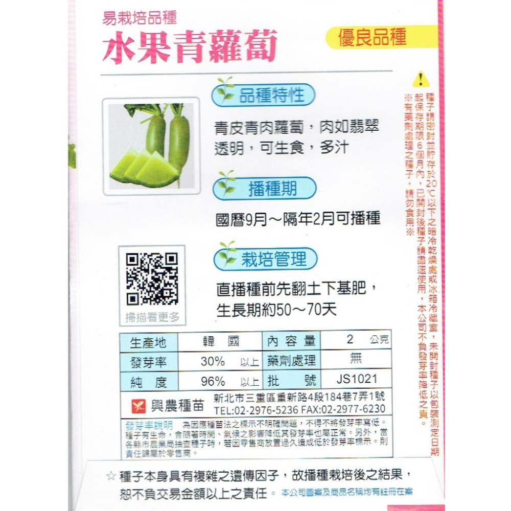 愛上種子 蘿蔔 水果青蘿蔔 興農種苗原包裝種子 每包約2公克 產地：韓國 可生食 多汁。-細節圖2