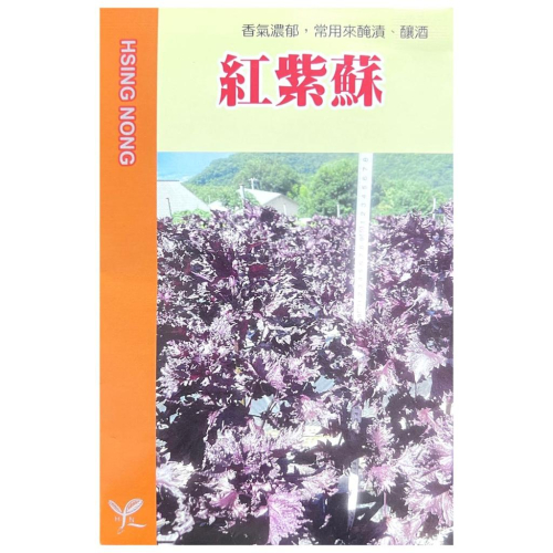 愛上種子 紅紫蘇種子【蔬果種子】赤紫蘇 1公克 興農種苗 彩色原包裝 日本進口