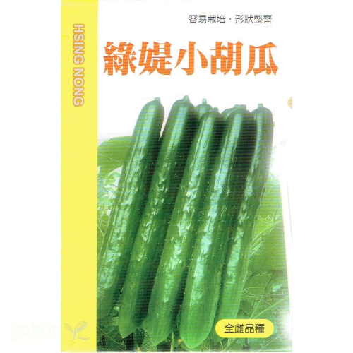 愛上種子 綠媞小胡瓜【蔬果種子】小胡瓜種子 全雌品種 抗白粉病 日本進口 約25粒
