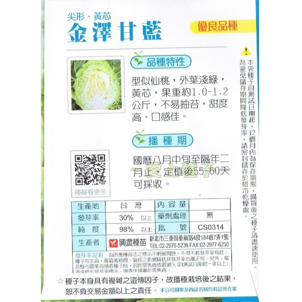 愛上種子 金澤甘藍種子【高麗菜種子】仙桃型甘藍 外葉淺綠 黃芯 1公克 興農種苗 彩色原包裝-細節圖2