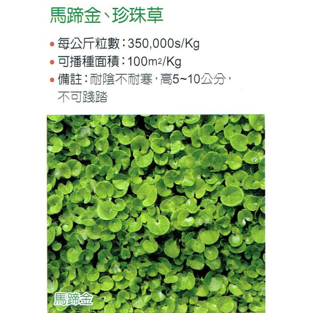 馬蹄金 (珍珠草、小金錢草) 種子 每包1公斤 果園常見被地植物 易繁殖 適應力強-細節圖2