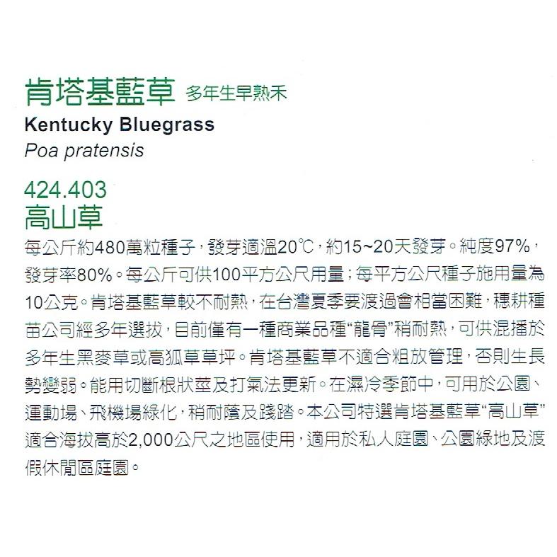 愛上種子 高山草 肯塔基藍草 【草皮種子】多年生早熟禾 1公斤/包 冷季草種 可播100平方公尺-細節圖2