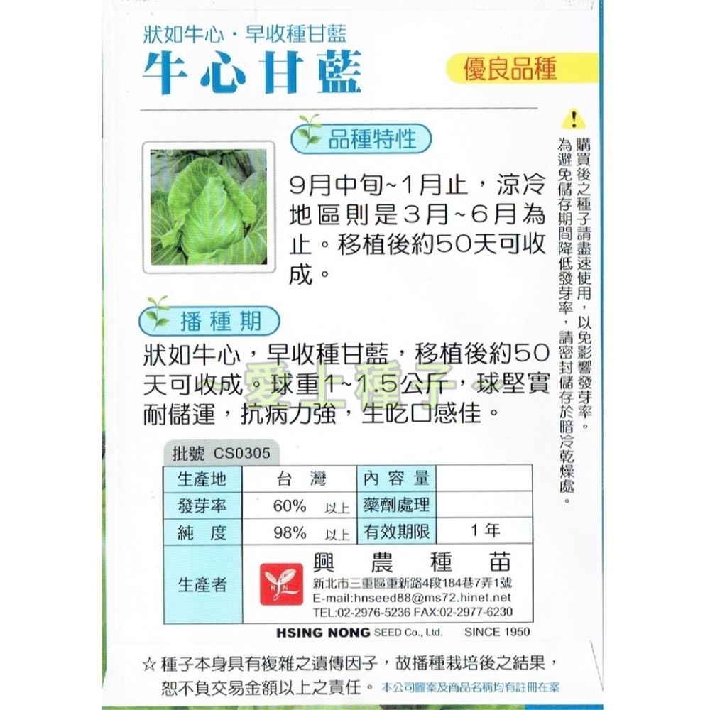 愛上種子 牛心甘藍種子【高麗菜種子】早收品種 抗病力強 可生吃 1公克 興農種苗 彩色原包裝-細節圖2