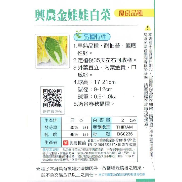 愛上種子 金娃娃白菜種子【蔬果種子】早熟品種 興農牌 每包約2公克 彩色原包裝種子-細節圖2