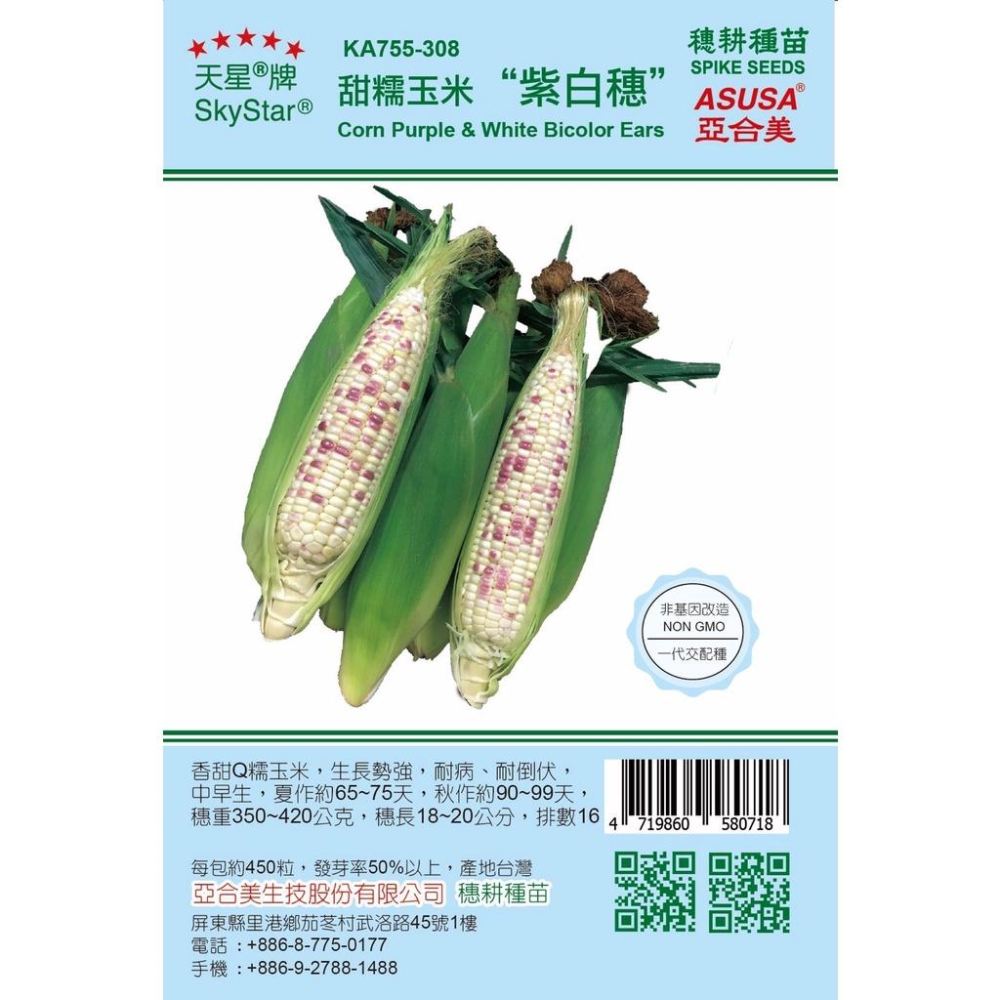 愛上種子甜糯玉米紫白穗一代交配種每包約450粒天星牌大包裝種子非基因改造耐病、耐倒伏，中早生。排數16 - 種子批發-