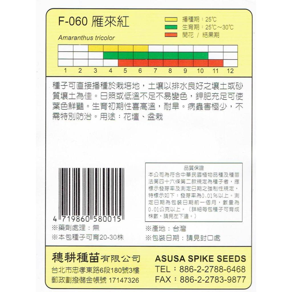 愛上種子 雁來紅【花卉種子】天星牌  小包裝種子-細節圖2