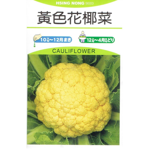 愛上種子 花椰菜(黃色 花蕾大型，顏色偏橙黃) 【蔬菜種子】黃色花椰菜 興農種苗中包裝種子 內容量：約70粒 產地：日本