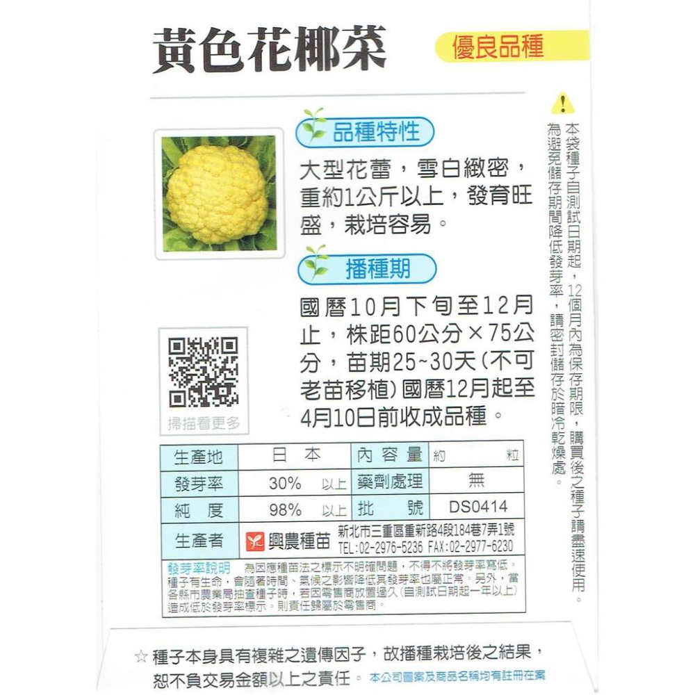 愛上種子 花椰菜(黃色 花蕾大型，顏色偏橙黃) 【蔬菜種子】黃色花椰菜 興農種苗中包裝種子 內容量：約70粒 產地：日本-細節圖2