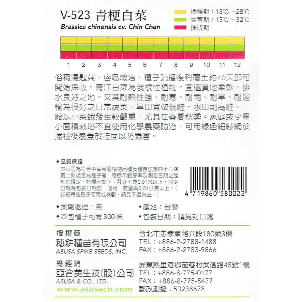 愛上種子 青梗白菜 湯匙菜 【蔬果種子】 天星牌 彩色包裝 原包裝種子 家庭園藝 小包裝種子-細節圖2