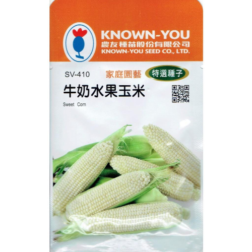 愛上種子 牛奶水果玉米Sweet Corn(SV-410)農友種苗特選種子 籽粒珍珠白 甜度高度18度