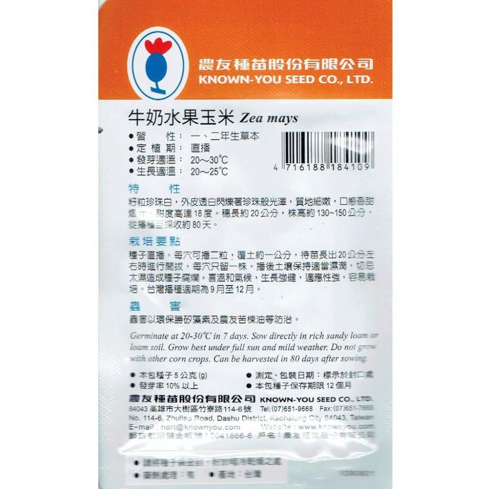 愛上種子 牛奶水果玉米Sweet Corn(SV-410)農友種苗特選種子 籽粒珍珠白 甜度高度18度-細節圖2