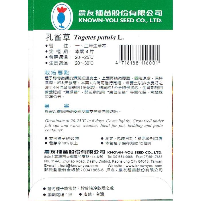 愛上種子 孔雀草 F-600 【花卉種子】雙色 矮性 每包約60粒 農友種苗-細節圖2