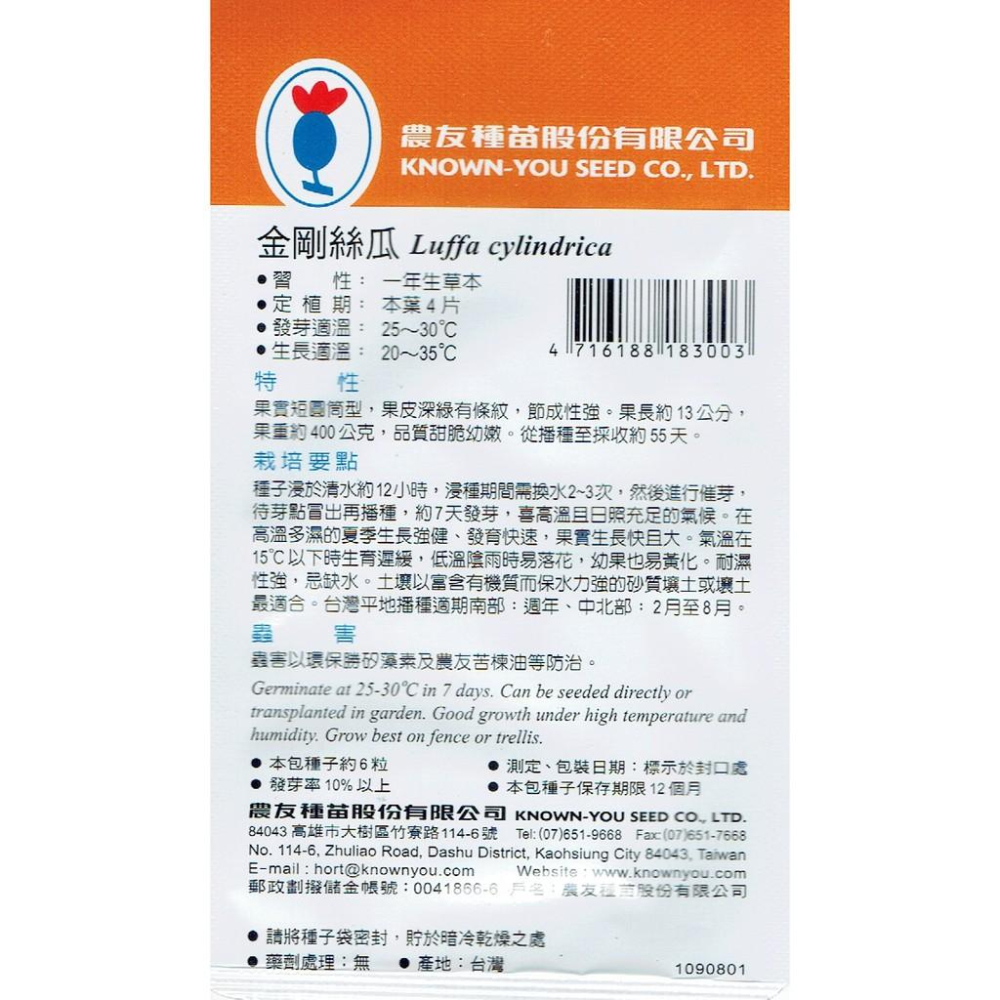 愛上種子 金剛絲瓜Sponge Gourd(sv-300) 農友種苗特選種子 菜瓜-細節圖2