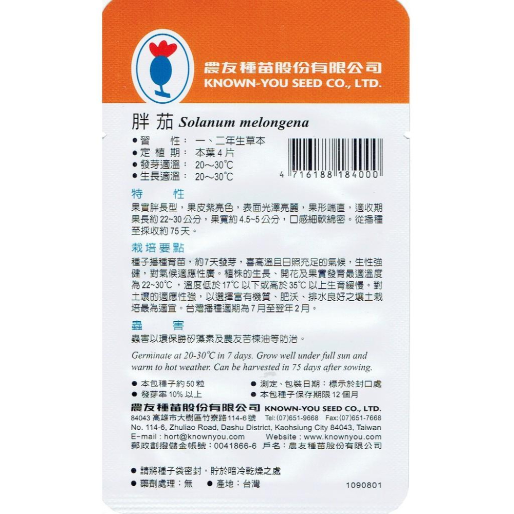 愛上種子 胖茄 茄子Eggplant(SV-400)農友種苗特選種子 果實胖長型 果皮紫亮色 口感細軟綿密-細節圖2