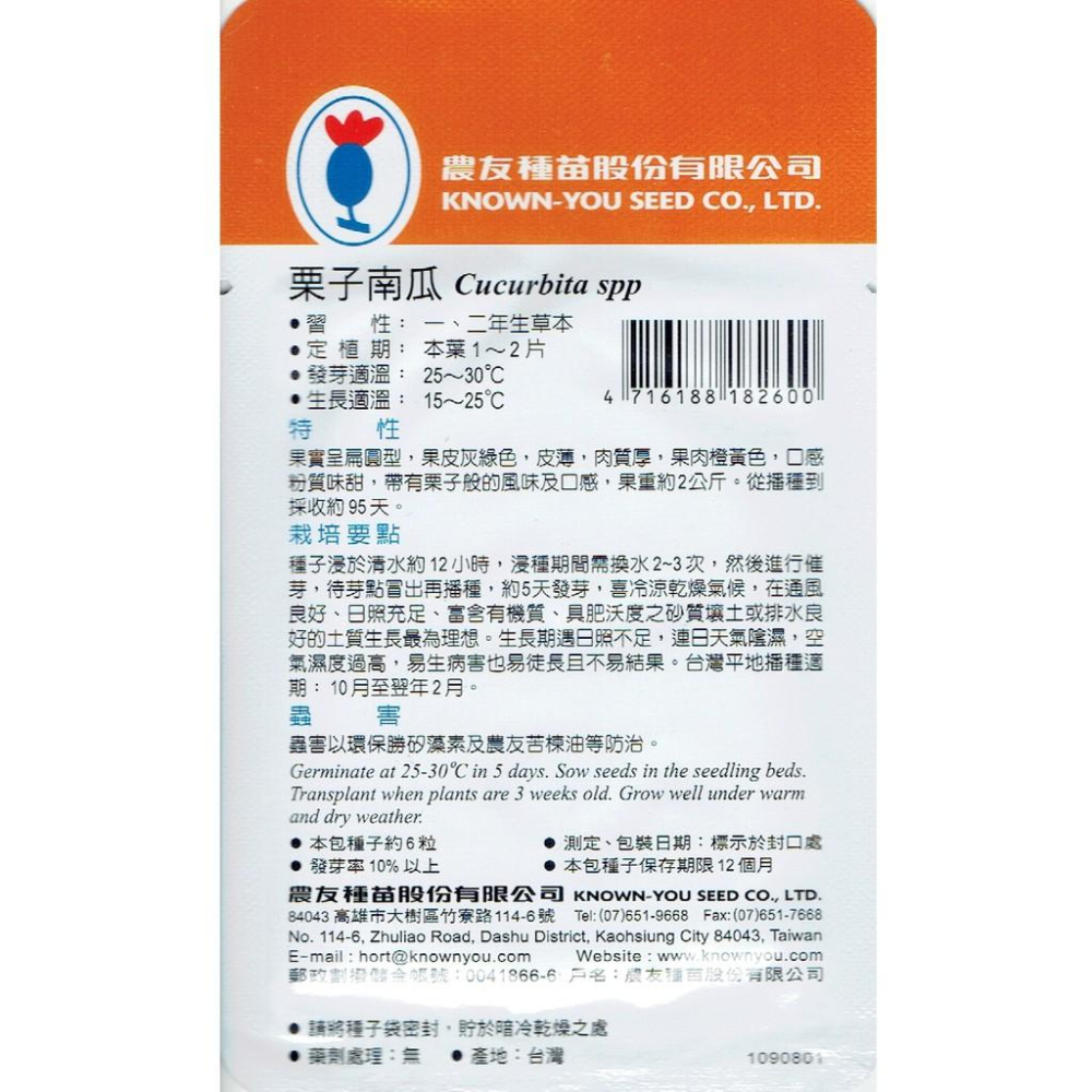 愛上種子 栗子南瓜Winter Squash(sv-260)農友種苗特選種子 果實扁圓 果皮灰綠色 皮薄  果肉橙黃色-細節圖2