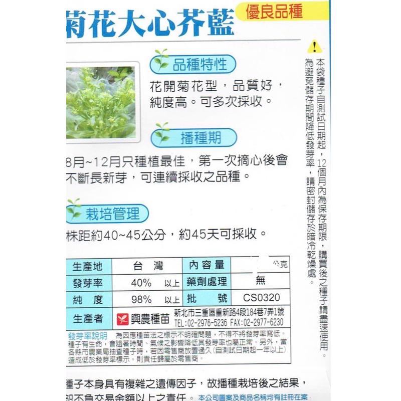 愛上種子 芥蘭 菊花 大心芥藍（芥蘭） 內容物：2公克 興農種苗蔬菜種子 藥劑處理：無  可連續採收-細節圖2