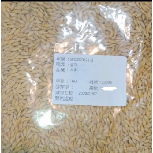 愛上種子 大麥草 貓草種子 1公斤/包（1000公克/包） （芽菜種子）