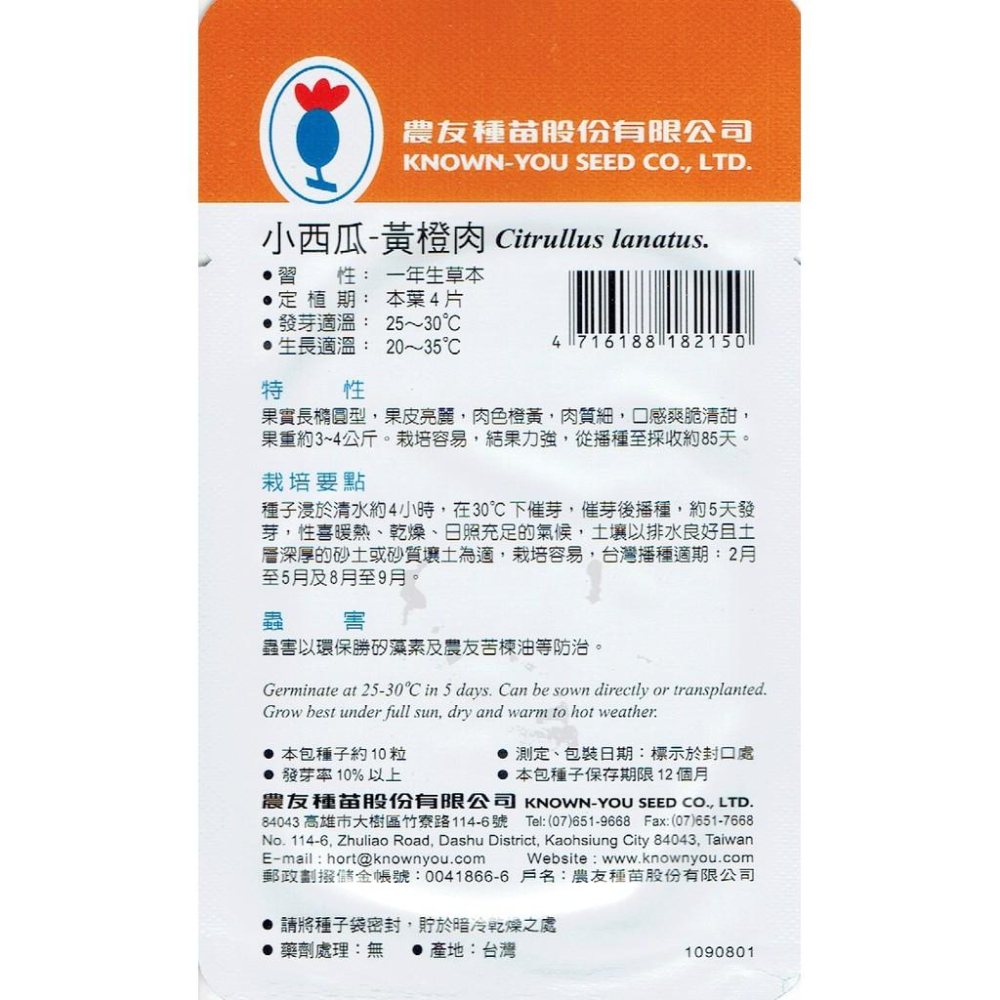 愛上種子 小西瓜 黃橙肉Watermelon(SV-215)農友種苗特選種子 果實長橢圓形 肉色橙黃 栽培容易 結果力強-細節圖2