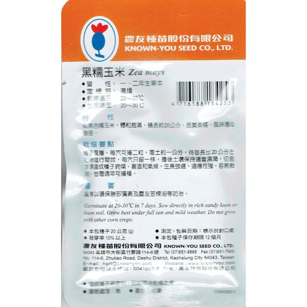 愛上種子 黑糯玉米Glutinous Corn (sv-425)  農友種苗特選種子 紫黑色糯玉米 穗粒飽滿 風味香Q-細節圖2