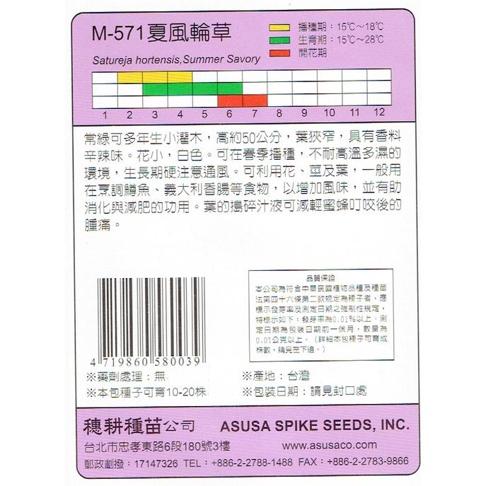 愛上種子 夏風輪草 【香藥草種子】 天星牌 彩色包裝 小包裝種子-細節圖2