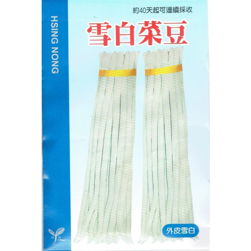愛上種子 雪白菜豆 菜豆 興農種苗中包裝種子 每包約5公克 外皮雪白 喜高溫 產地：台灣