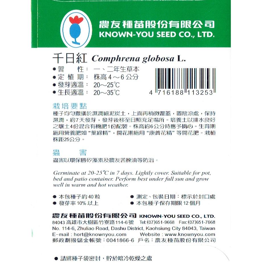 愛上種子 千日紅  農友種苗 花卉種子 有混合色和紫紅色可選擇-細節圖4