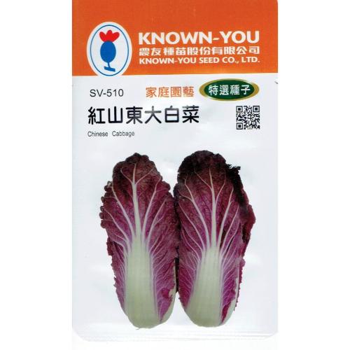 愛上種子 紅山東大白菜Chinese Cabbage(sv-510) 農友種苗特選種子 球色紫紅 適合醃漬