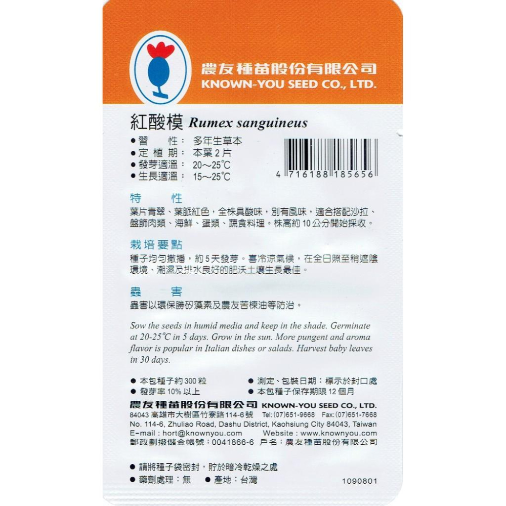 愛上種子 紅酸模Red Rumex(SV-565) 農友種苗特選種子 葉片青翠 葉脈紅色-細節圖2
