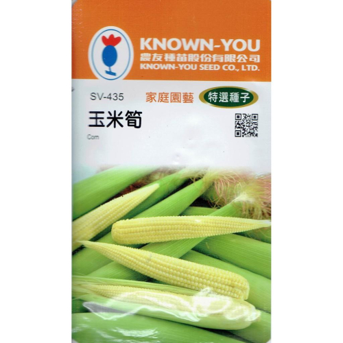 愛上種子 玉米筍Corn(SV-435) 農友種苗特選種子 全年可播 耐熱 耐濕 一株多穗 生長強健 適應性強 容易栽種