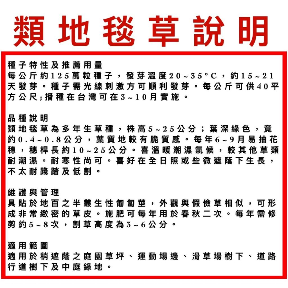 限量商品 類地毯草 愛芬地毯草 草種子 粉衣種子 （有1公斤和500公克可選）-細節圖2