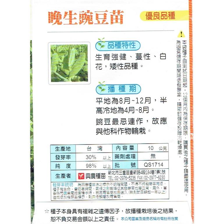 愛上種子 豌豆苗【蔬菜種子】晚生豌豆苗 葉用豌豆 (豆苗) 產量高   白花 矮性品種 興農牌中包裝蔬菜種子-細節圖2