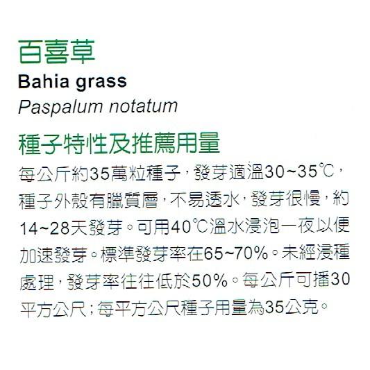 愛上種子 百喜草 種子 每包30ml (約5200粒) 分裝包 草坪種子-細節圖3