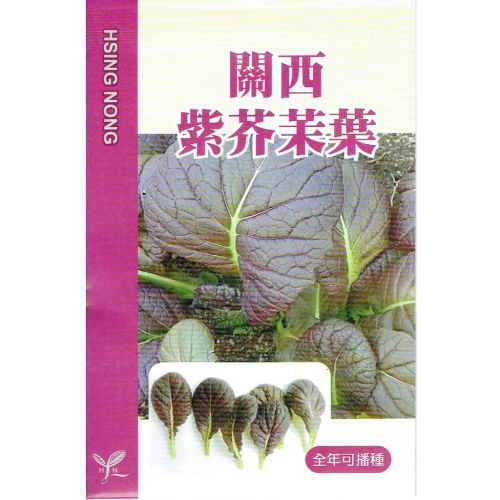 愛上種子 關西紫芥茉葉 興農牌種子 每包3公克 可生食 全年可播種