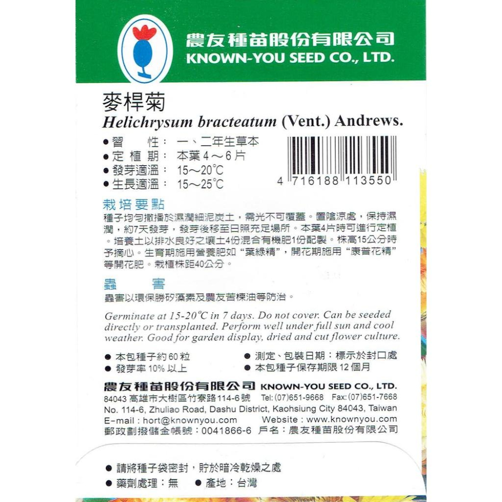 愛上種子 麥桿菊 花卉種子 農友牌 小包裝種子 每包約60粒-細節圖2