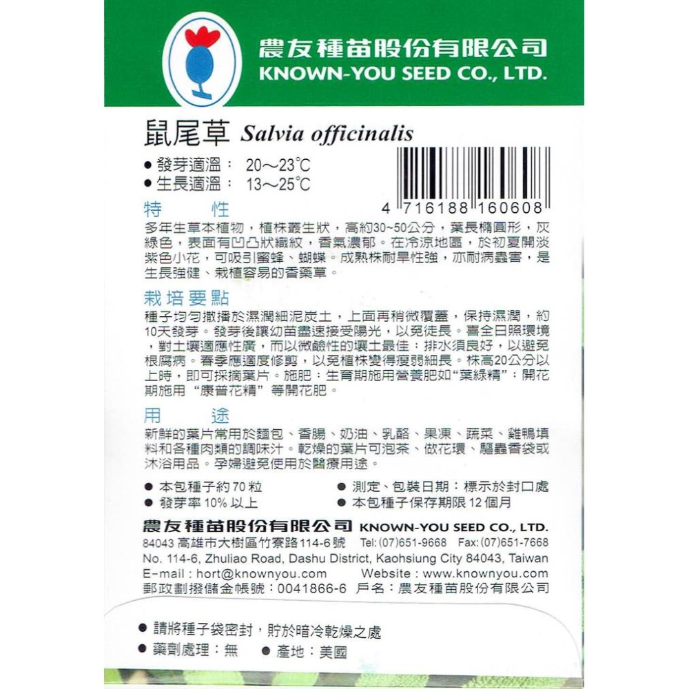 愛上種子 鼠尾草 香藥草種子 農友牌 小包裝種子 每包約70粒-細節圖2
