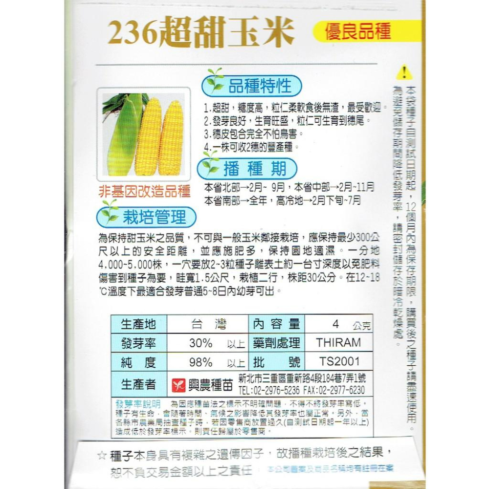 愛上種子 236超甜玉米(矮性品種) 【蔬果種子】興農牌 每包約4公克-細節圖2