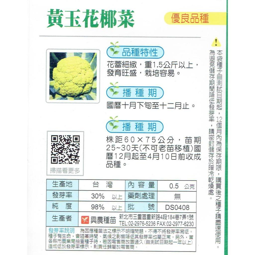 愛上種子 黃玉花椰菜(黃色黃椰菜) 【蔬果種子】興農牌 每包約0.5公克-細節圖2