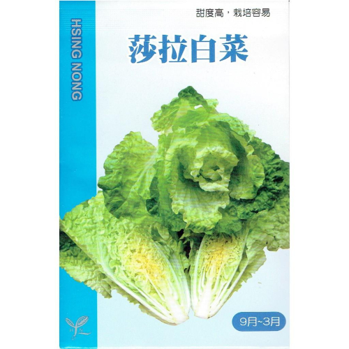 愛上種子 黃葉半結球白菜(莎拉白菜) 【蔬果種子】興農牌中包裝 每包約2ml