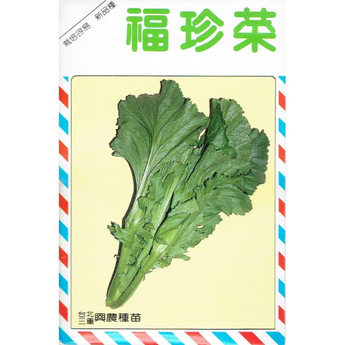 愛上種子 福珍菜(日本芥菜) 【蔬果種子】興農牌中包裝 每包約4公克
