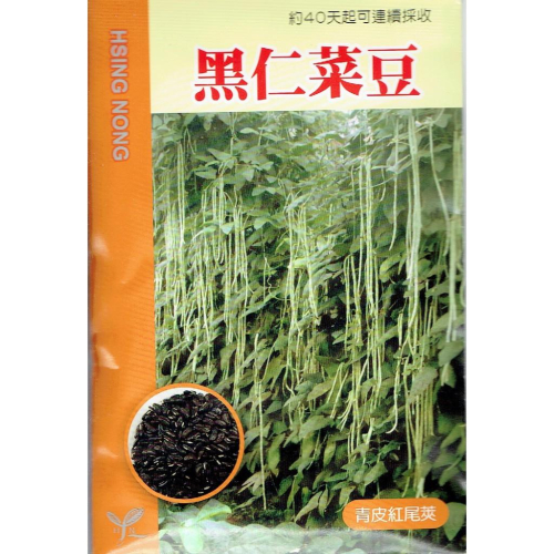 愛上種子 黑仁菜豆 【蔬果種子】興農牌 每包約5公克