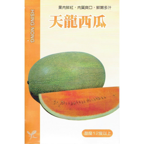 愛上種子 天龍西瓜 【蔬果種子】興農牌 每包約2公克
