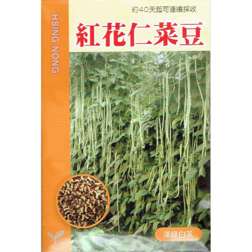 愛上種子 紅花仁菜豆 【蔬果種子】興農牌 每包約5公克