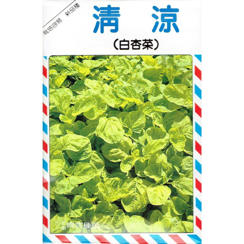 愛上種子 白杏菜(清涼．夏天開胃菜) 【蔬果種子】興農牌中包裝 每包約15公克
