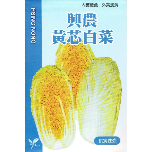 愛上種子 黃芯白菜 【白菜類種子】興農牌中包裝 每包約1公克