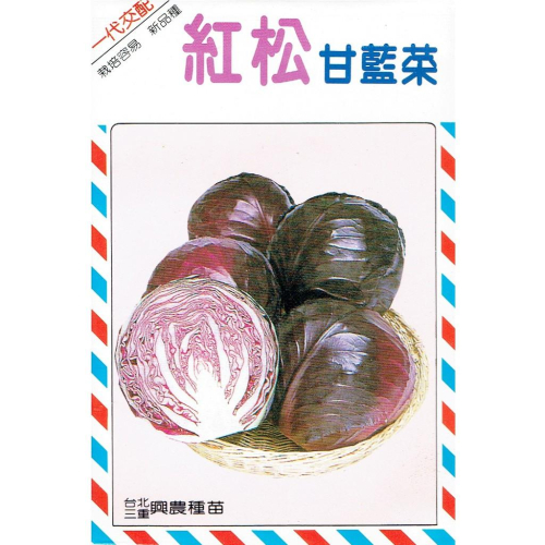 愛上種子 甘藍菜 紫色高麗菜 (紅松甘藍菜) 【甘藍類種子】興農牌中包裝 每包約1ml