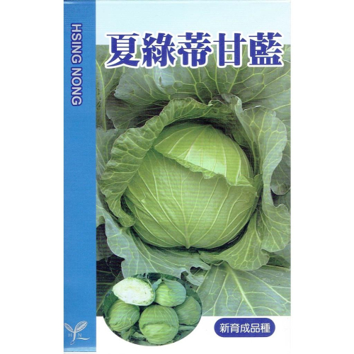 愛上種子 甘藍菜 高麗菜 (夏綠蒂甘藍) 【甘藍類種子】興農牌中包裝 每包約1公克