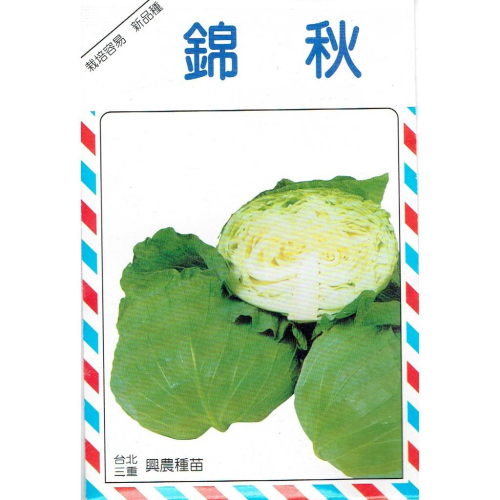愛上種子 甘藍 高麗菜(錦秋) 【甘藍類種子】興農牌中包裝 每包約1公克