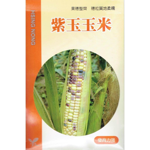 愛上種子 紫玉玉米 【蔬果種子】興農牌 每包8公克