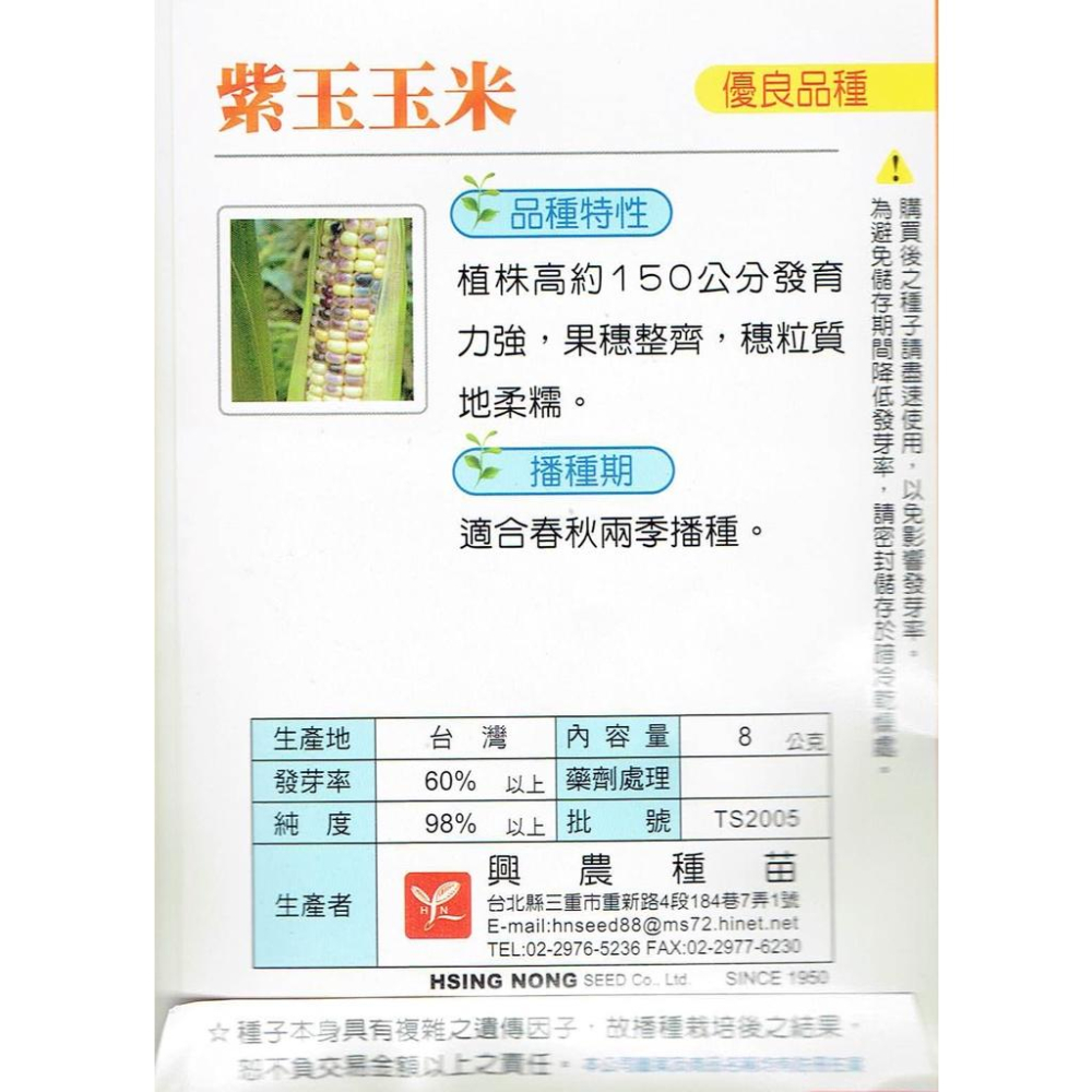 愛上種子 紫玉玉米 【蔬果種子】興農牌 每包8公克-細節圖2