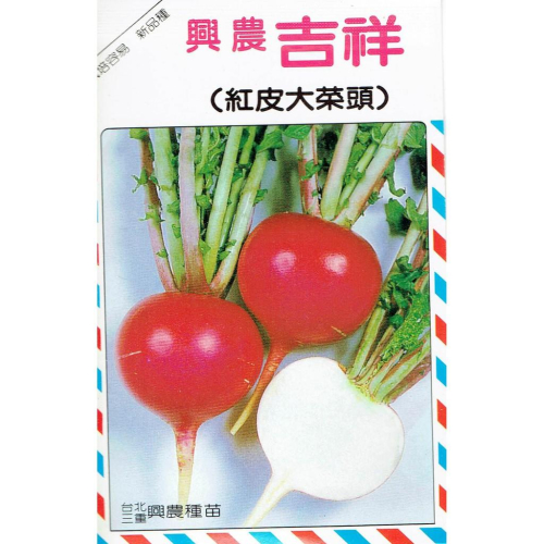 愛上種子 紅皮大菜頭(吉祥) 【蘿蔔類種子】興農牌中包裝 每包約5公克